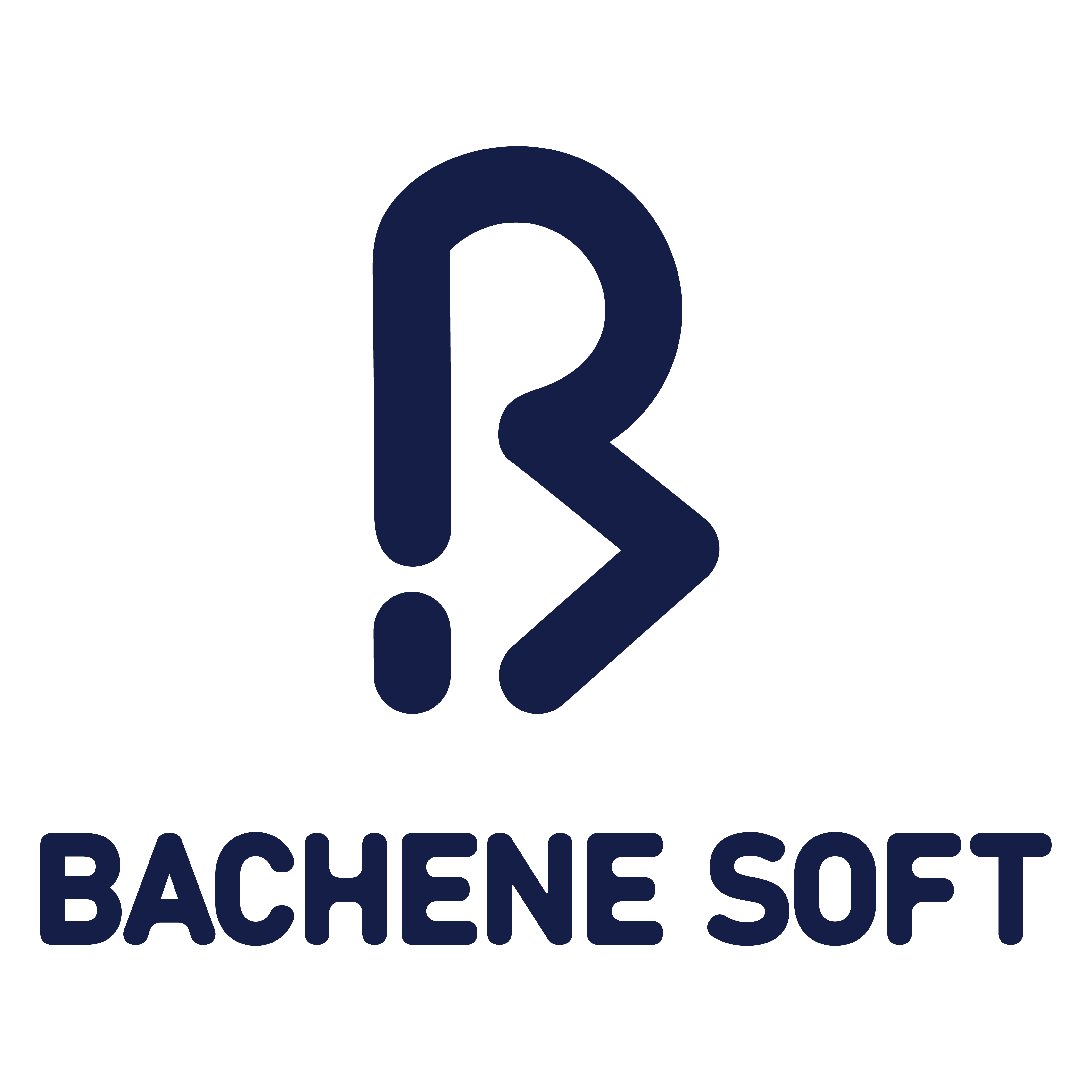 BacheneSoft logo